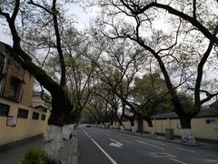 -颐和路民国时期公馆风貌区
