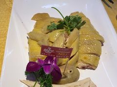 -新高记·粤菜·湛江鸡(南头古城店)