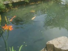 -本溪水洞