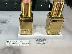 -台场海滨公园船码头