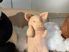 -辰熙ACX星海艺术中心