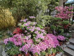 -惠山古镇·寄畅园