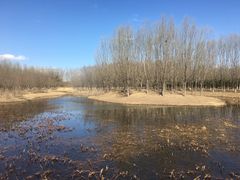 -东郊湿地公园