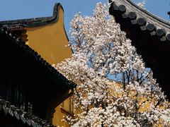 -龙华寺