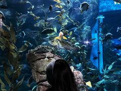 -瑞普利水族馆
