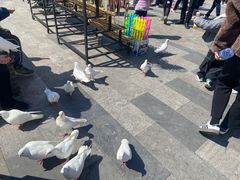 -合肥融创乐园