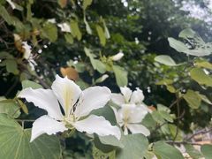 -桂溪生态公园