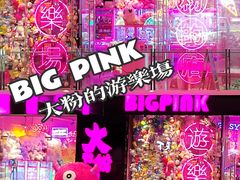 -BIG PINK大粉娃娃机主题馆(圆融星座店)