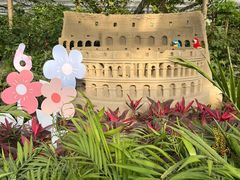 -南宫五洲植物乐园