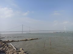 -海鸥岛