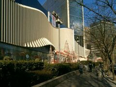 -凯德MALL(望京店)