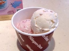 双球手装冰激凌-哈根达斯(卓展店)