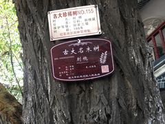 -遵义会议纪念馆