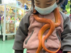 -藦茜花园宠物主题亲子互动体验馆(国顺东路店)