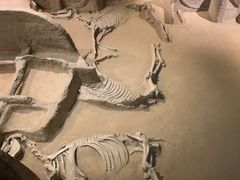 -洛阳周王城天子驾六博物馆