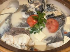 千岛湖浓汤鱼头-全乐鱼馆·淳牌有机鱼直营店