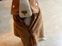 -ZARA HOME(蓝色港湾店)