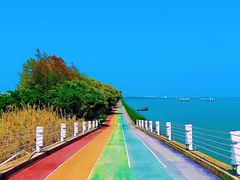 -贡湖湾湿地公园