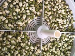 -莲塘味宝园牛杂(天越翔园店)