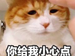 -麻喜大