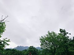 -沣峪口