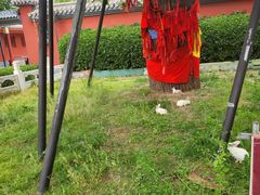 -药王庙(安国市)