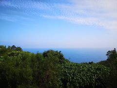 -广东惠东海龟国家级自然保护区
