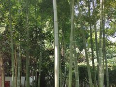 -杭州黄龙洞