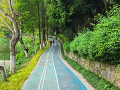 -重庆彩云湖湿地公园