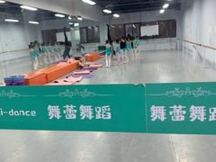 -舞蕾舞蹈(特长生校区)