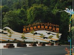 -西双版纳原始森林公园