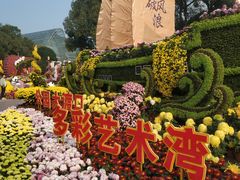 -南山植物园