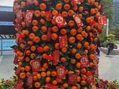 -招商蛇口邮轮母港(观光客运)