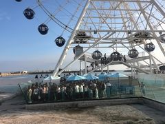 -秦皇岛乐岛海洋王国