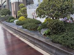 -青岛鑫江温德姆酒店