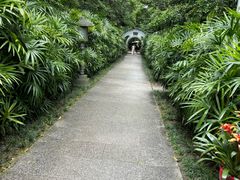 -广州兰圃