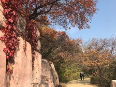 -北京西山国家森林公园