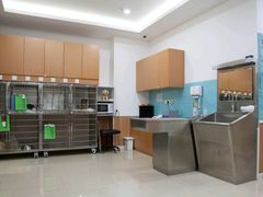 -宠福鑫动物医院(望京分院)