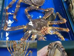 -四川小胡子海鲜(丁村万人海鲜广场店)