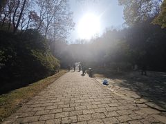 -南山风景名胜区