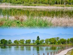 -野鸭湖国家湿地公园