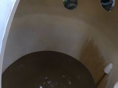 -100蛋泥浆浴