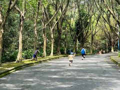 -滴水岩森林公园