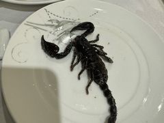 -山泉公馆酒家(珠江新城店)
