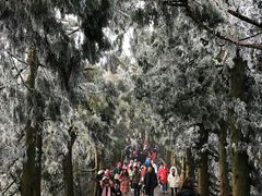 -南岳衡山风景名胜区