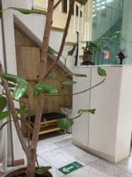 -薇薇安花系SPA