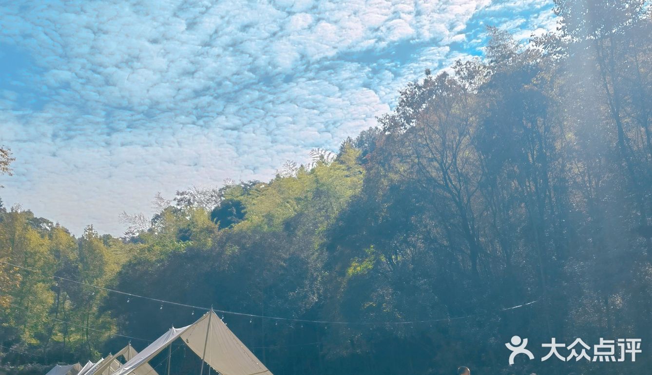 长沙周边竹林餐厅