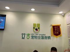 -艾吉宠物医院·疑难杂症转诊中心·猫友好(碧江路院)