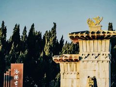 -洛阳古墓博物馆