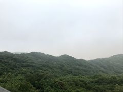 -普陀山风景区-佛顶山